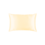 Mulberry Silk Queen pillowcase in a Beige color on a white background