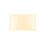 Mulberry Silk Queen pillowcase in a Beige color on a white background
