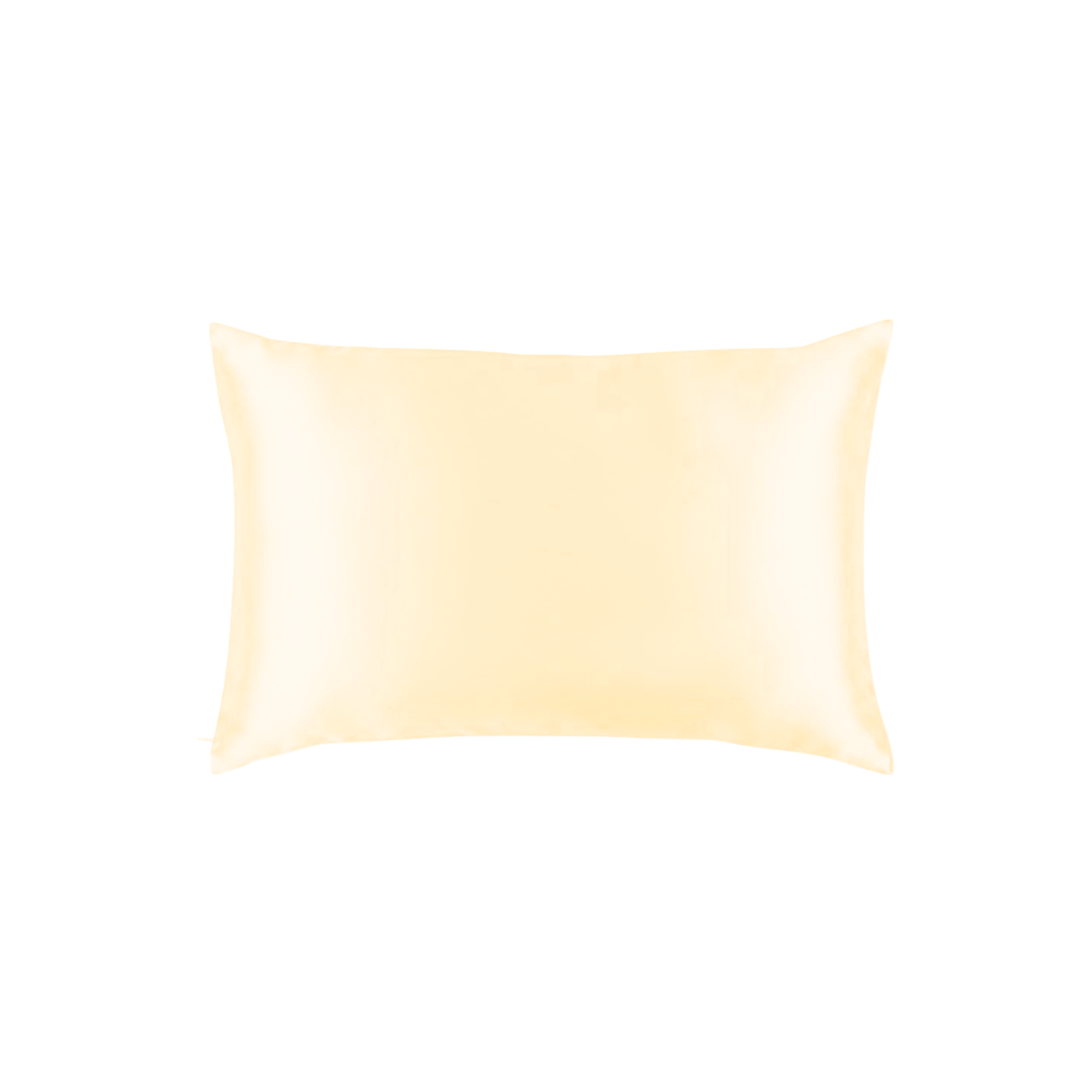 Mulberry Silk Queen pillowcase in a Beige color on a white background
