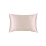 Mulberry Silk Queen pillowcase in a Champagne color on a white background