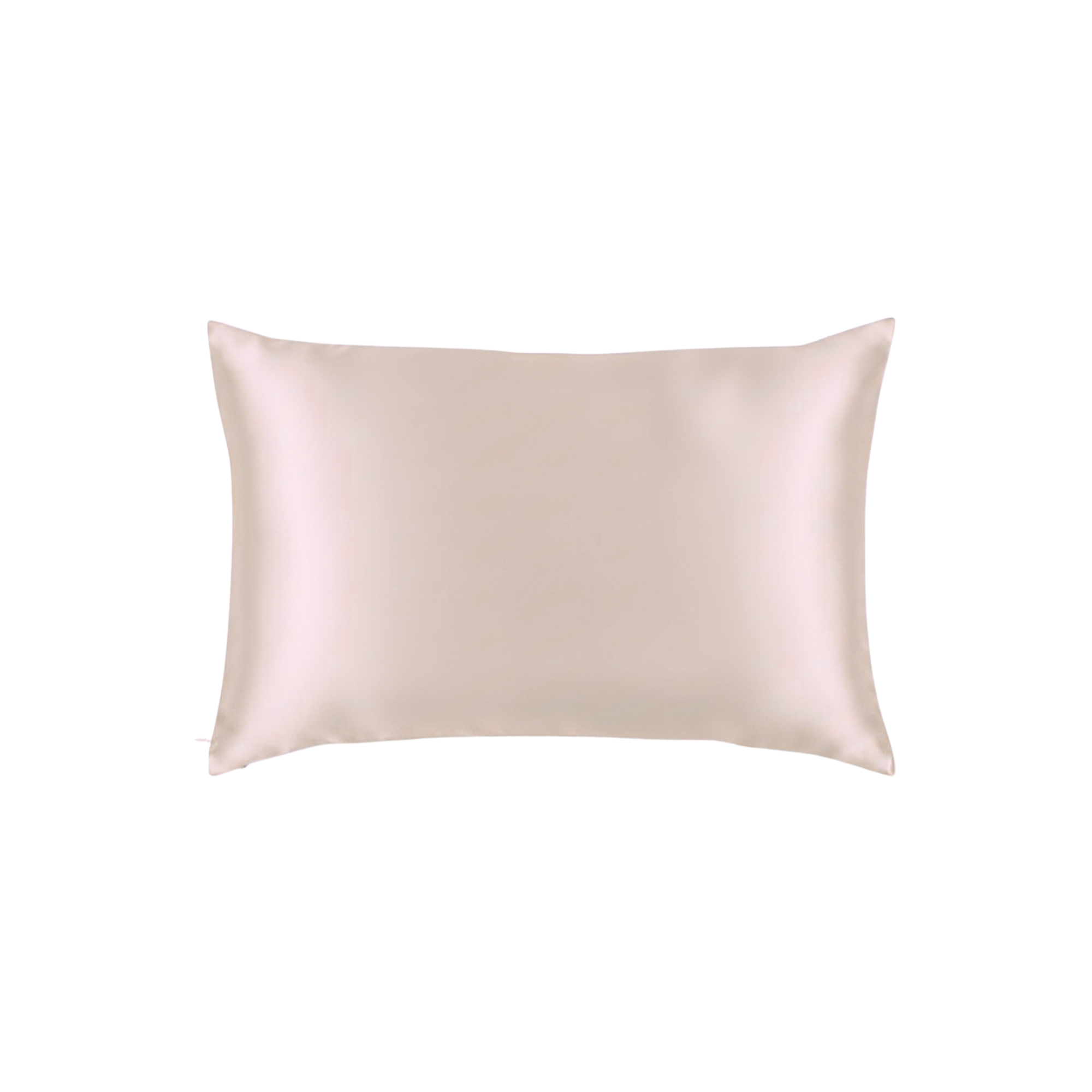 Mulberry Silk Queen pillowcase in a Champagne color on a white background