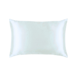 Mulberry Silk Queen pillowcase in a pure white color on a white background
