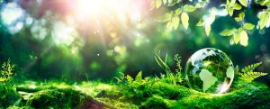 Embracing Elegance with a Conscience: Brindy's Grade 6A Mulberry Silk and Environmental Sustainability