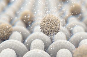 The Fascinating World of Pillowcase Bacteria and Mulberry Silk