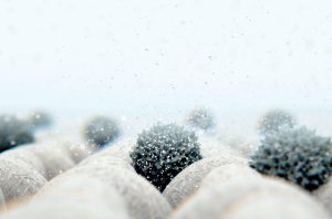 Silk's Allergen Mystique Unraveled: Exploring the Hypoallergenic Marvels of Silk in Medical Applications