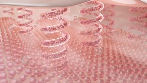 How to Boost Your Collagen